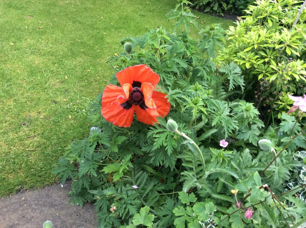 Willow Cottage B&B Yeadon Экстерьер фото