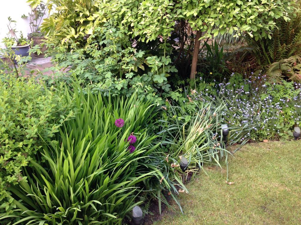 Willow Cottage B&B Yeadon Экстерьер фото