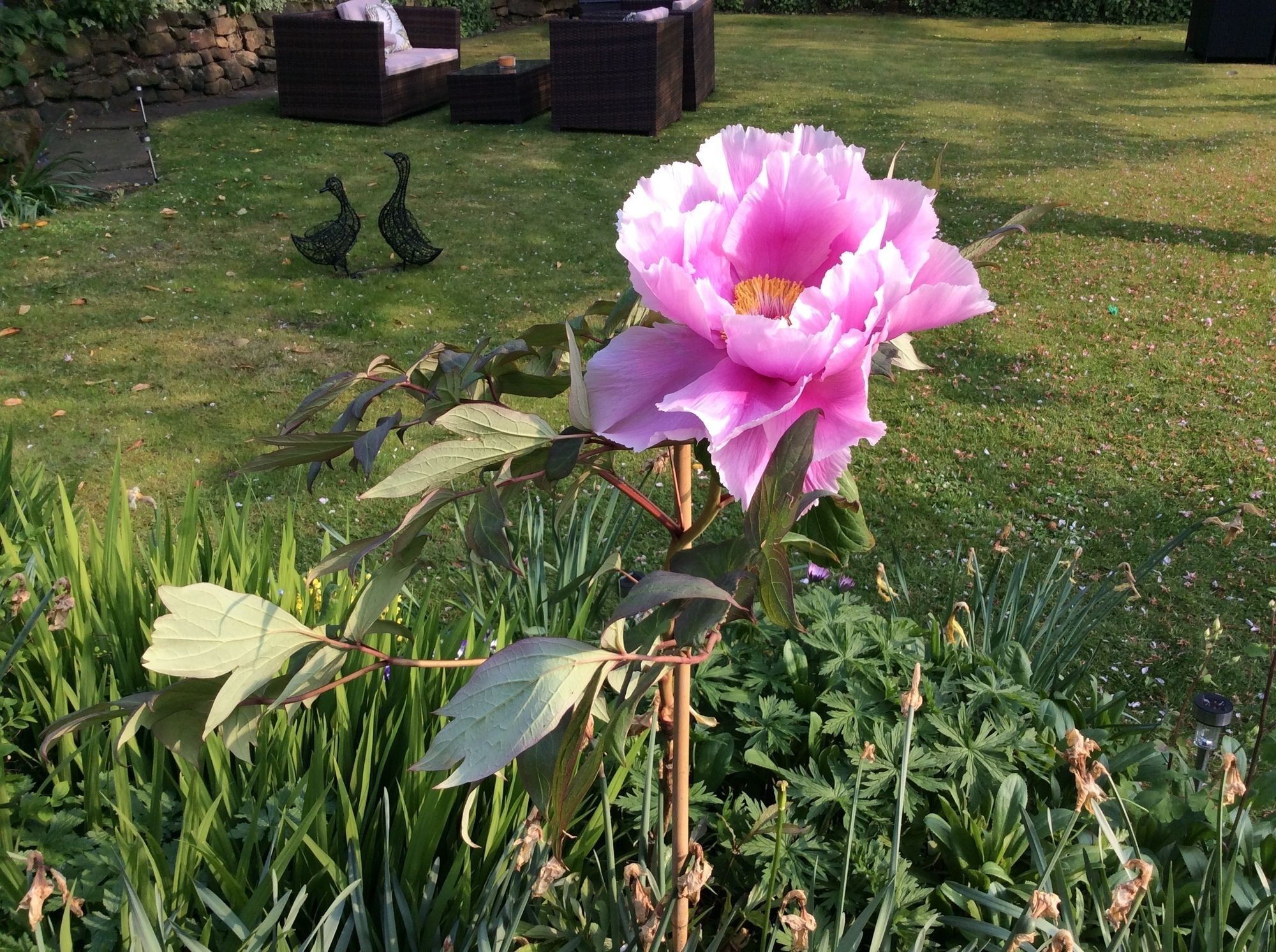 Willow Cottage B&B Yeadon Экстерьер фото